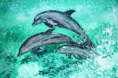 A delfinek felismerek a barátaikat a pisijük íze alapján – derítették ki túl kíváncsi tudósok