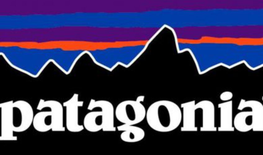 A Patagonia tulajdonosa mostantól a cég összes profitját a klímavédelemre költi